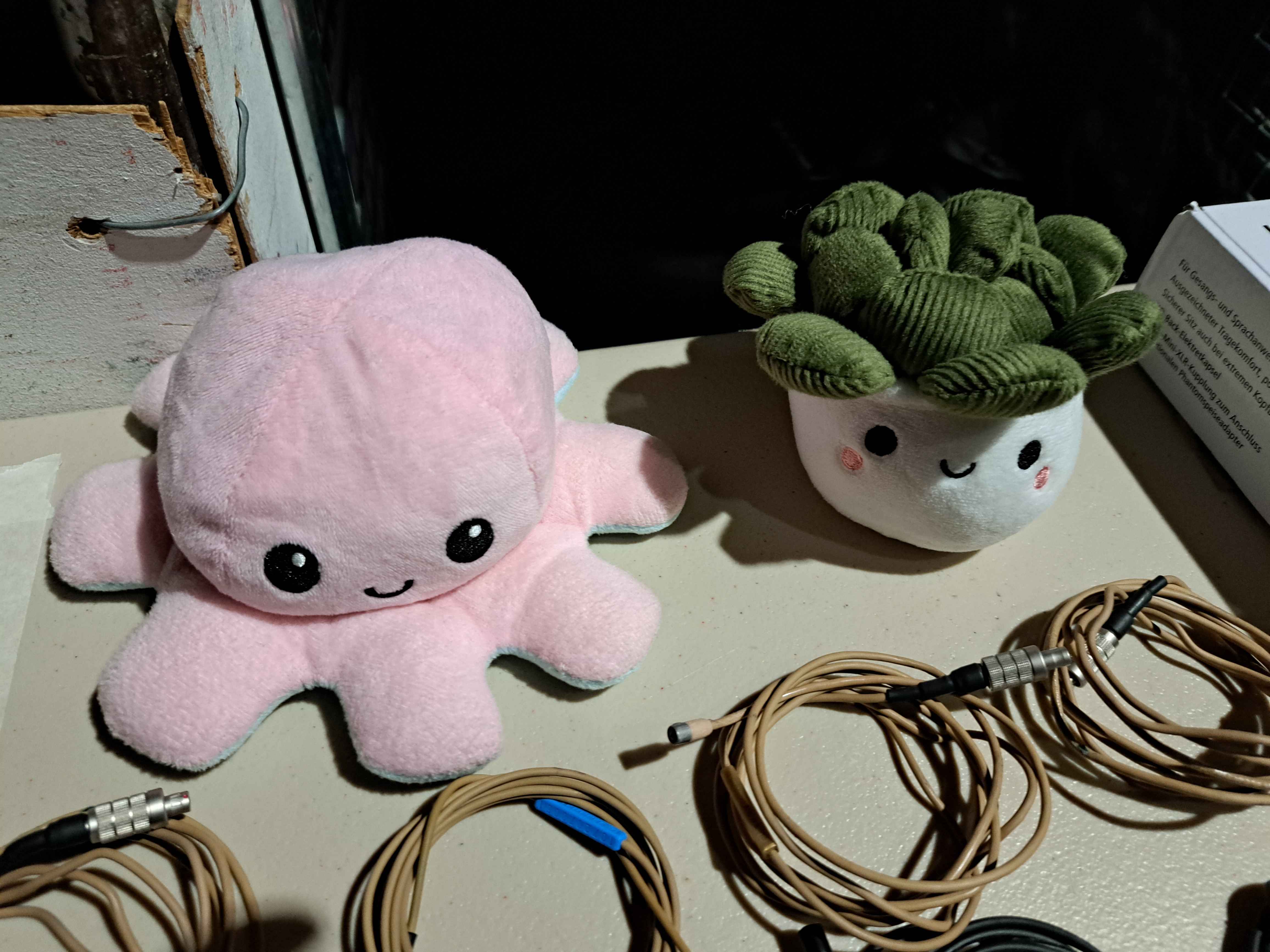 Orchid and Pot vibing on the mic table.